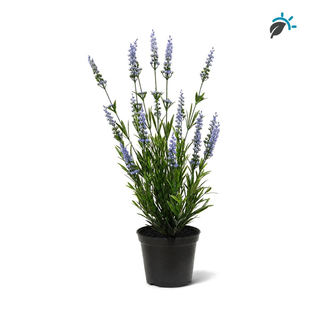 Coolplant Lavendel kunstplant 53 cm blauw – UV-bestendig