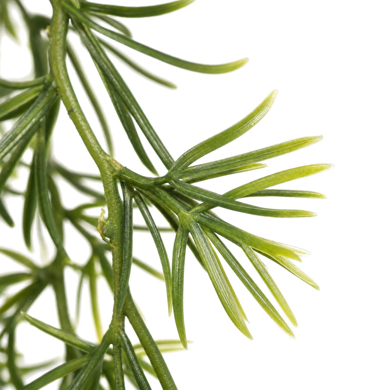 Asparagus Sprengeri kunsthangplant 85 cm – FR & UV-bestendig