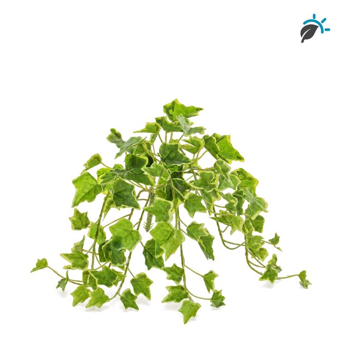 Coolplant Hedera kunsthangplant bont 40 cm – UV-resistent