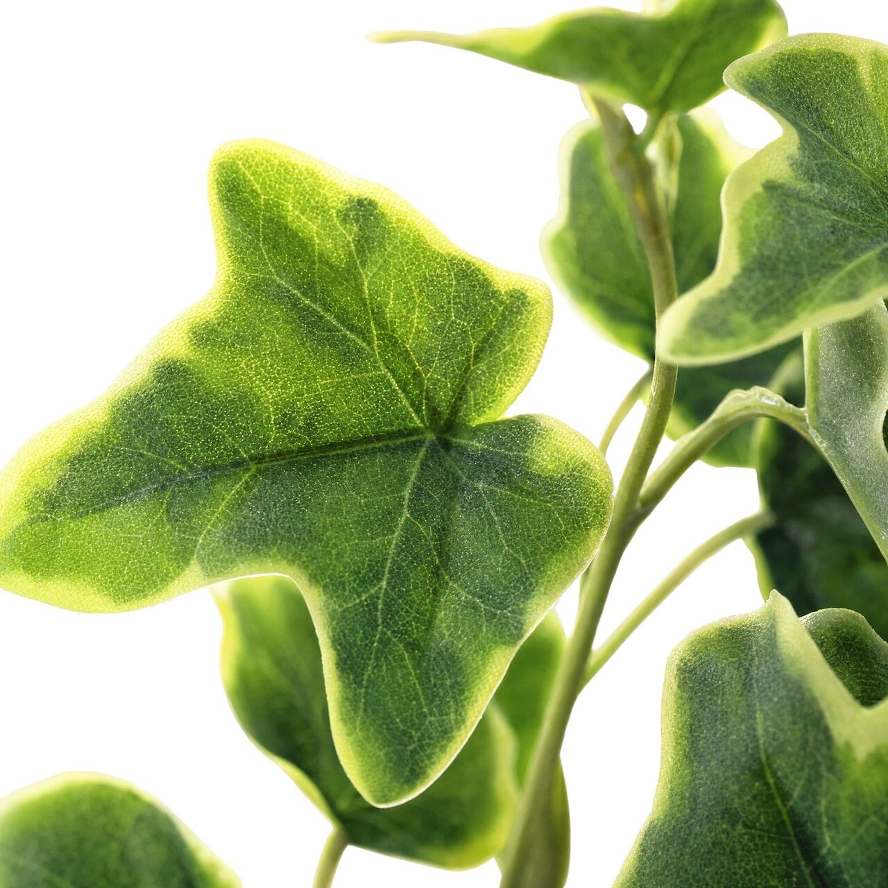 Hedera kunsthangplant bont 40 cm – UV-bestendig