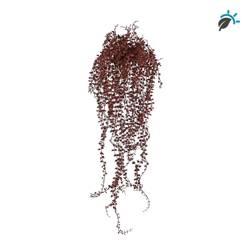 Coolplant Callisia kunsthangplant burgundy 70 cm – UV-bestendig