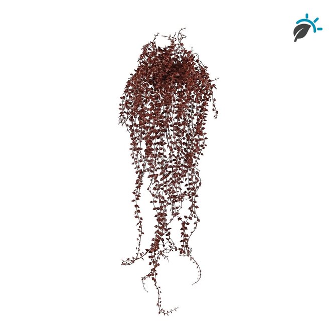 Coolplant Callisia kunsthangplant burgundy 70 cm – UV-resistent