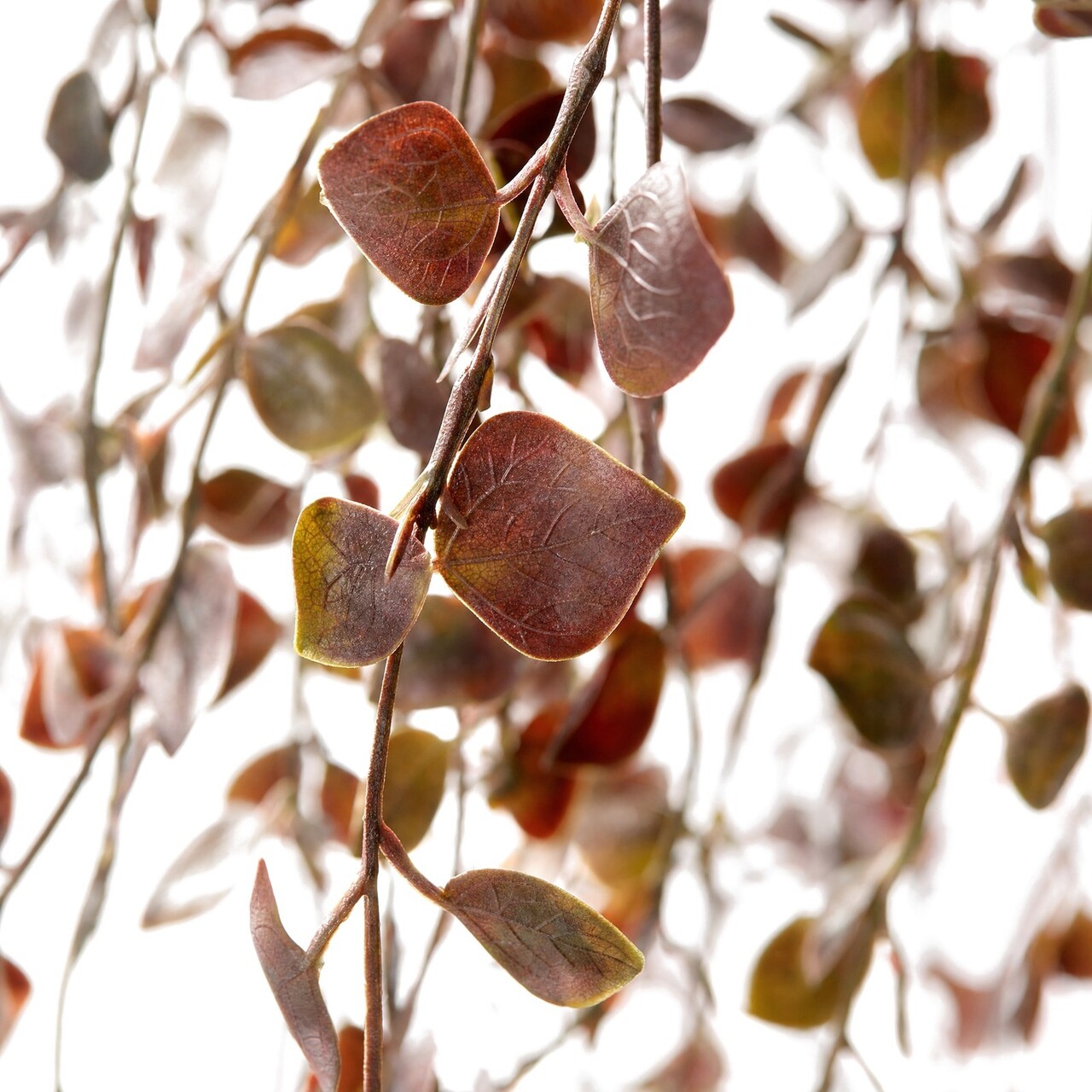 Callisia kunsthangplant burgundy 70 cm – UV-bestendig