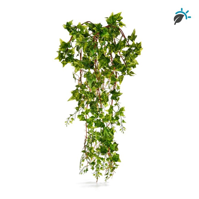 Coolplant Hedera kunsthangplant 80 cm groen – UV-resistent