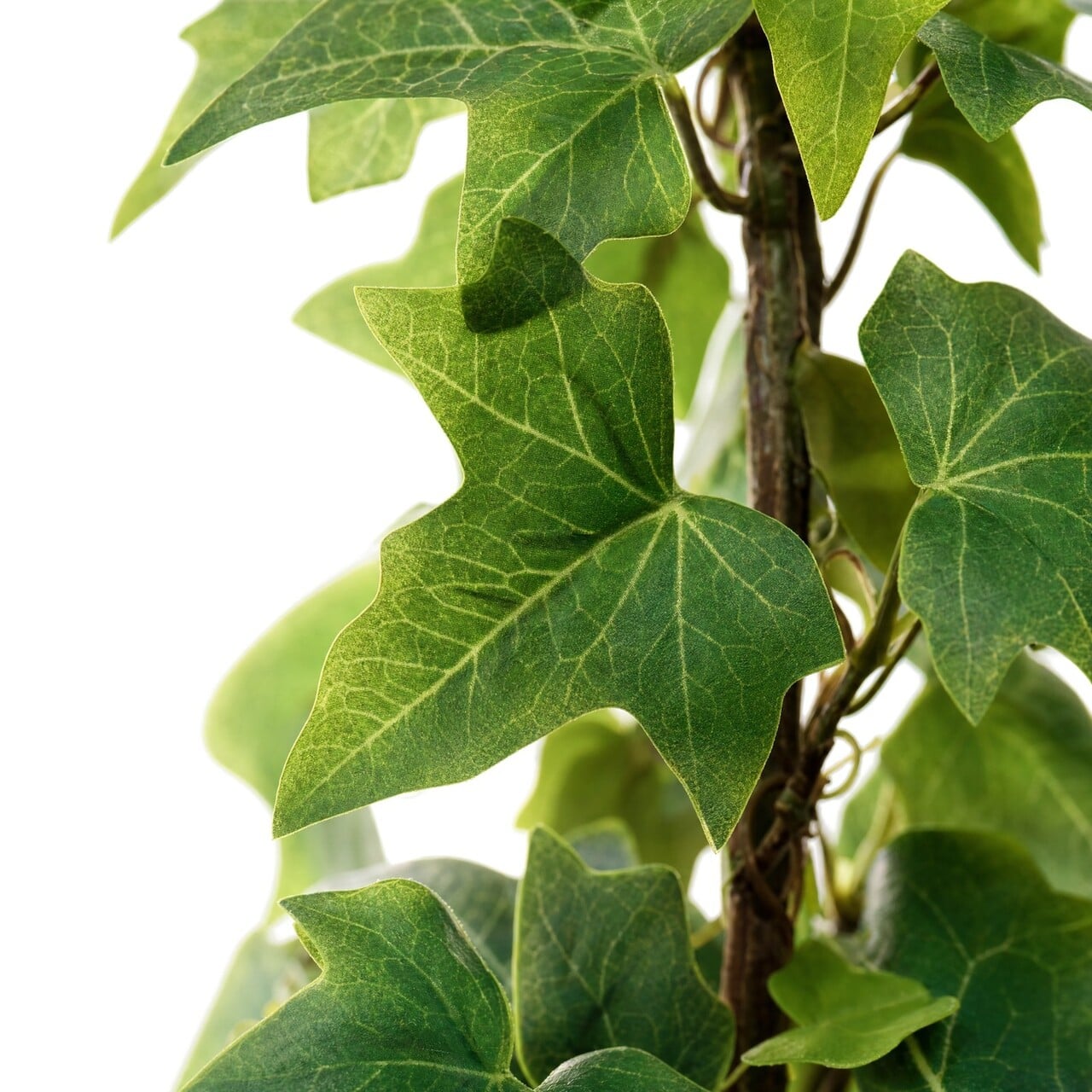 Hedera kunstslinger 180 cm – UV-bestendig