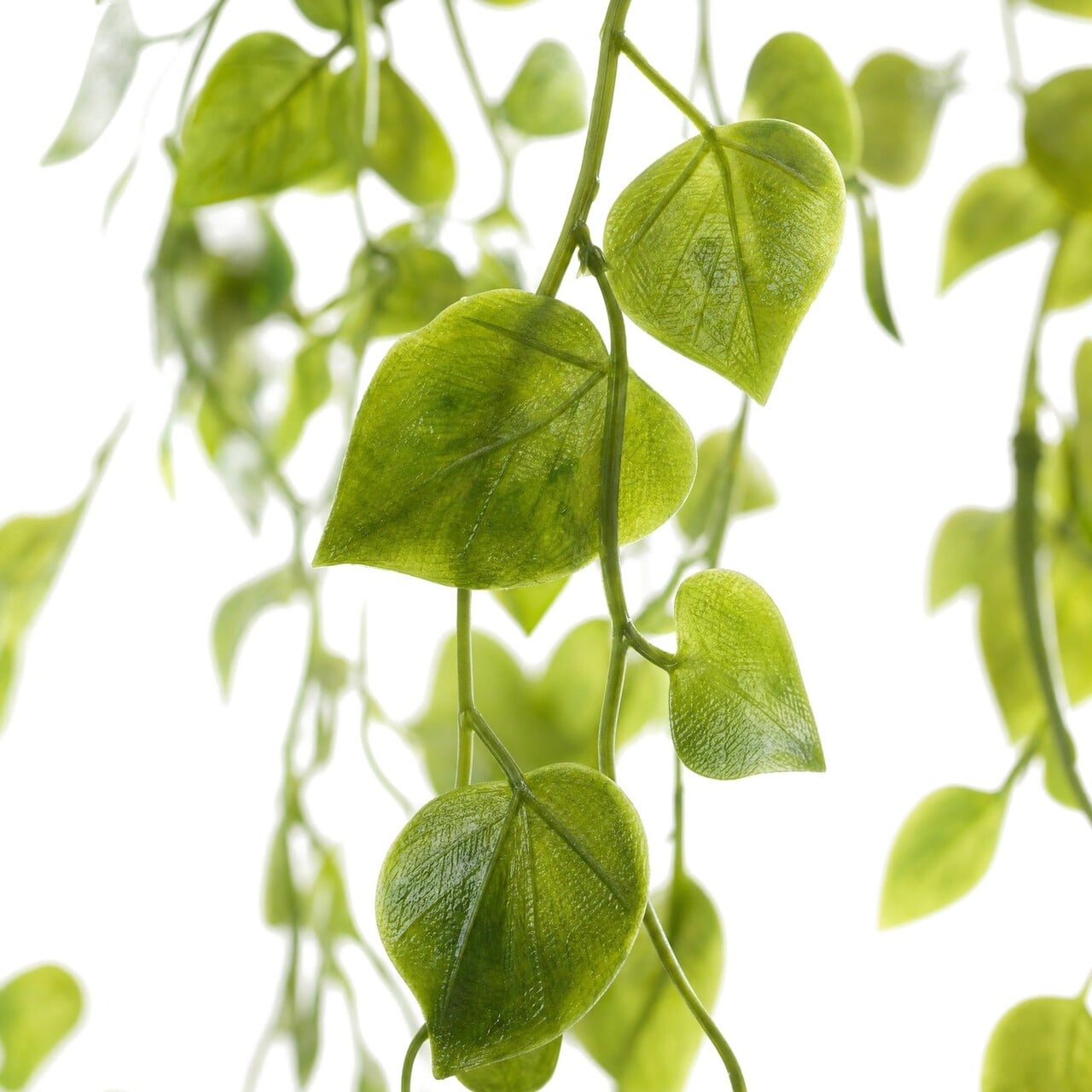 Callisia kunsthangplant groen 70 cm – UV-bestendig