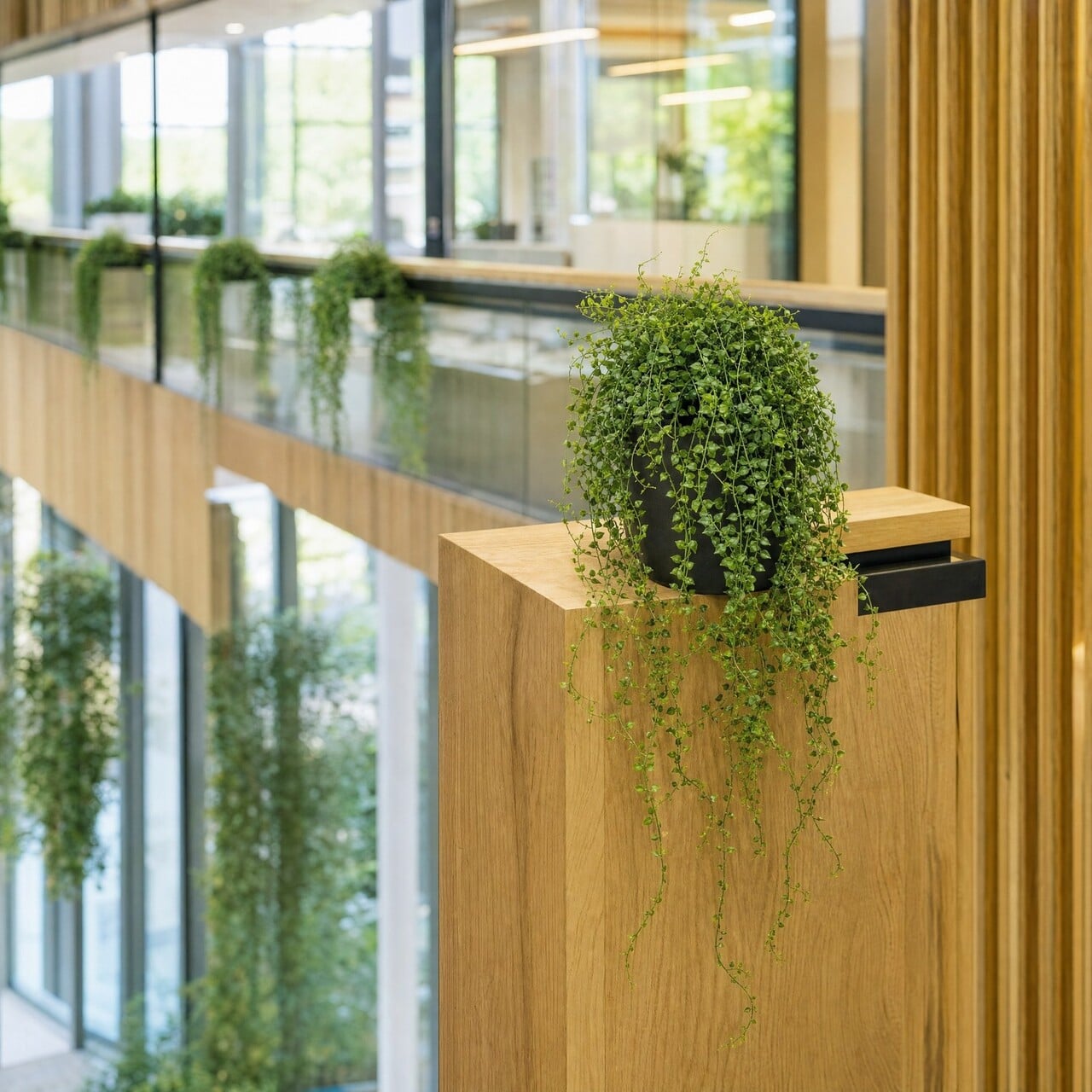 Callisia kunsthangplant groen 70 cm – UV-bestendig