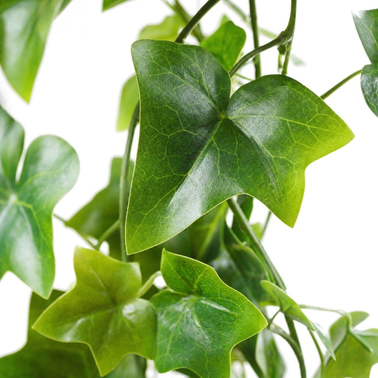 Hedera kunsthangplant 85 cm – UV-bestendig