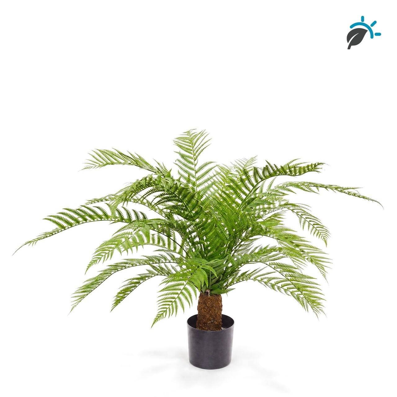 Alsophila varen kunstplant XXL 85 cm – UV-bestendig