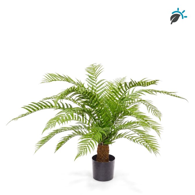 Coolplant Alsophila varen kunstplant XXL 85 cm – UV-resistent