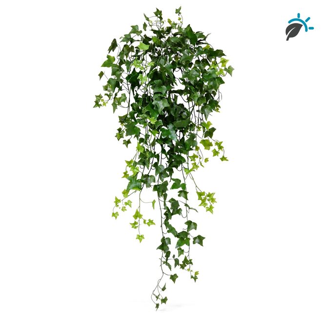 Coolplant Hedera kunsthangplant 100 cm – UV-resistent