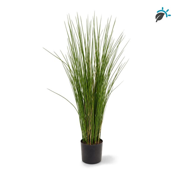 Coolplant Gras kunstplant 83 cm in pot – UV-bestendig