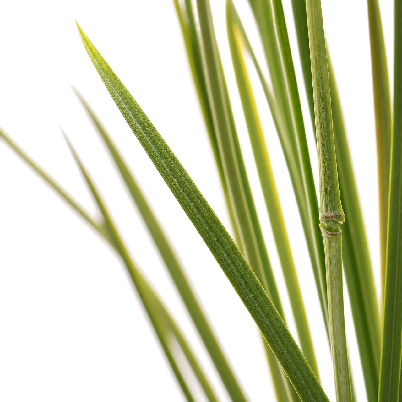 Gras kunstplant 83 cm in pot – UV-bestendig