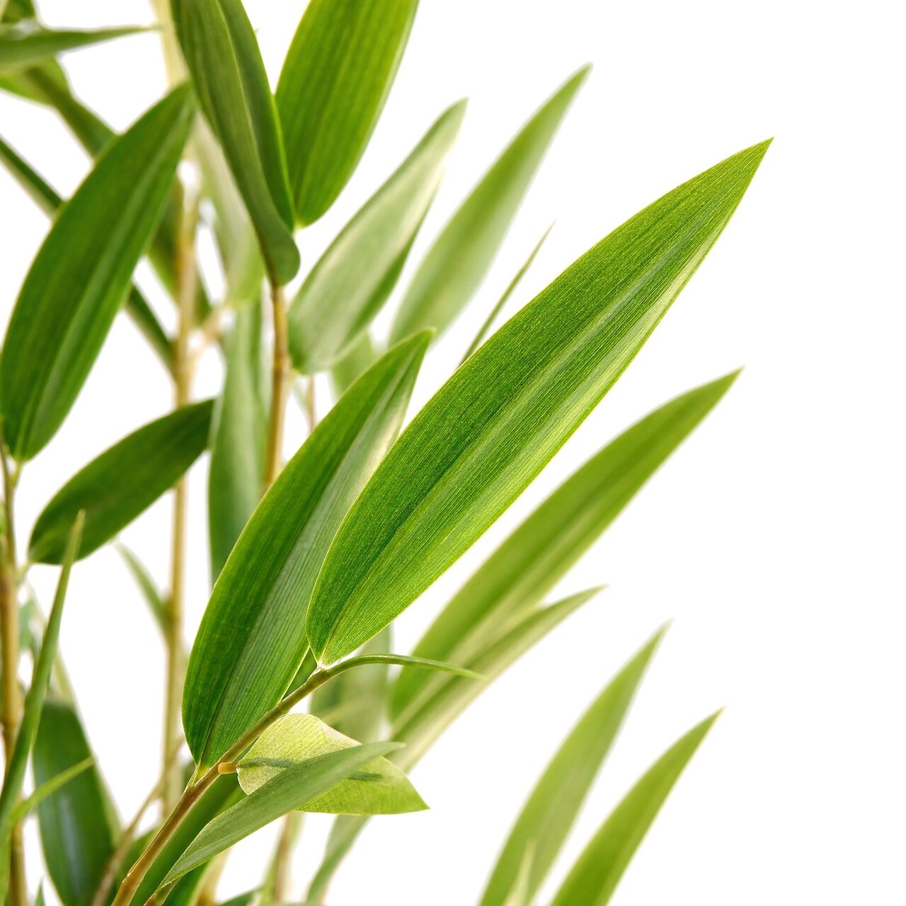 Japanse bamboe kunstplant 95 cm – UV-bestendig