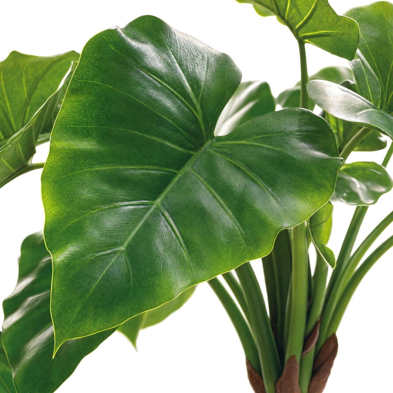Alocasia Calidora kunstplant 70 cm – brandvertragend