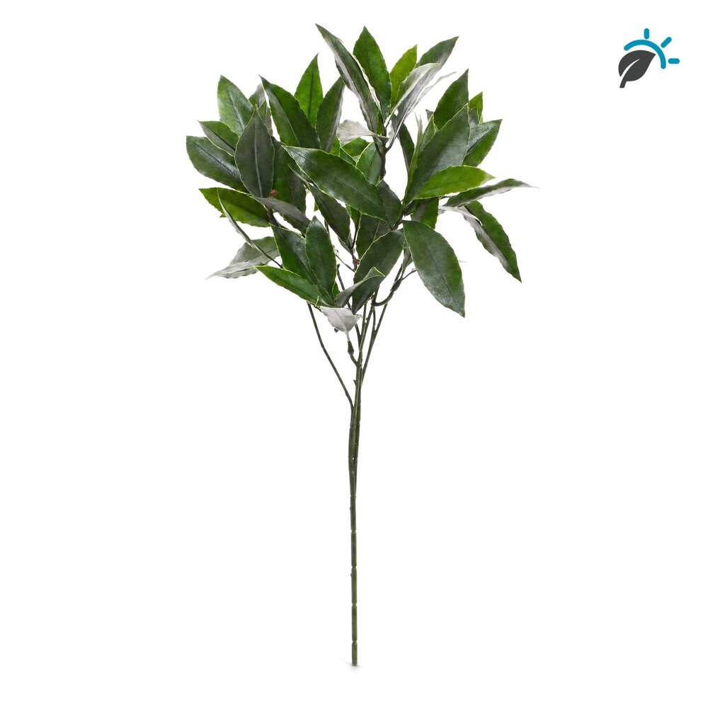 Coolplant Laurier kunsttak 50 cm – UV-bestendig