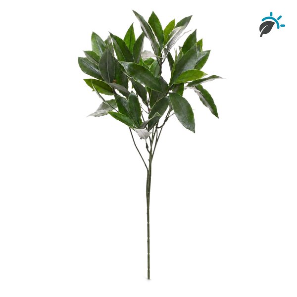Coolplant Laurier kunsttak 50 cm – UV-bestendig