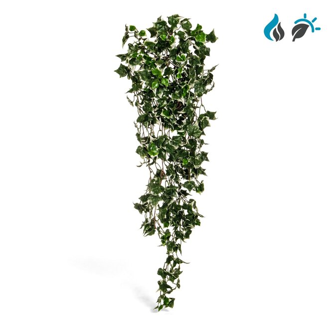 Coolplant Hedera kunsthangplant bont 85 cm – FR & UV-bestendig