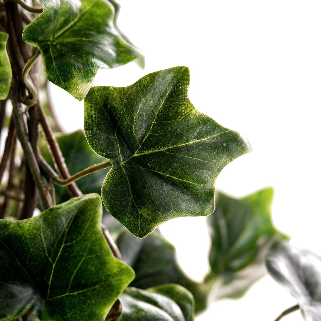 Hedera kunsthangplant bont 85 cm – FR & UV-bestendig