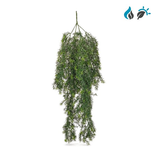 Coolplant Asparagus Sprengeri kunsthangplant 85 cm – FR & UV-bestendig