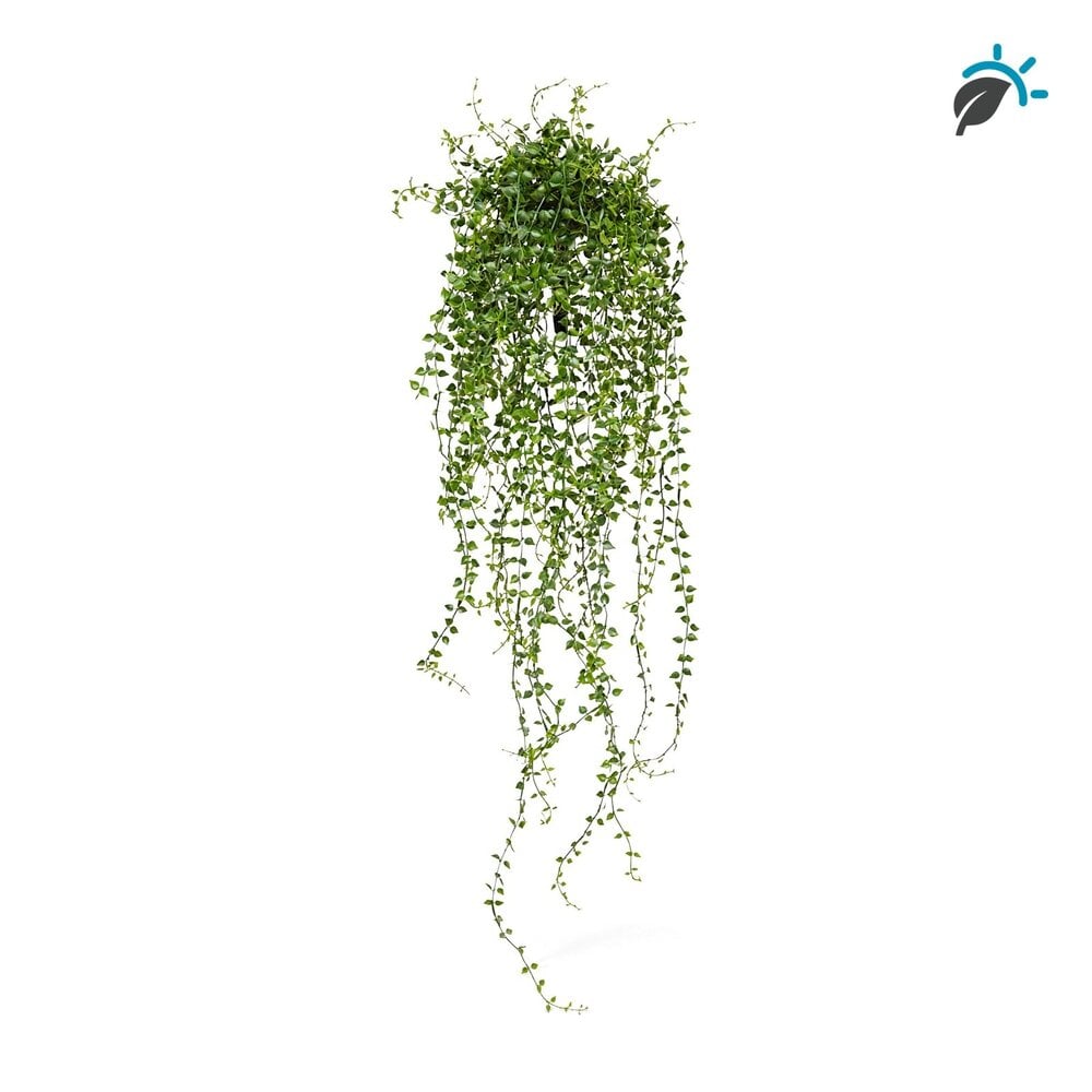 Coolplant Callisia kunsthangplant groen 70 cm – UV-bestendig