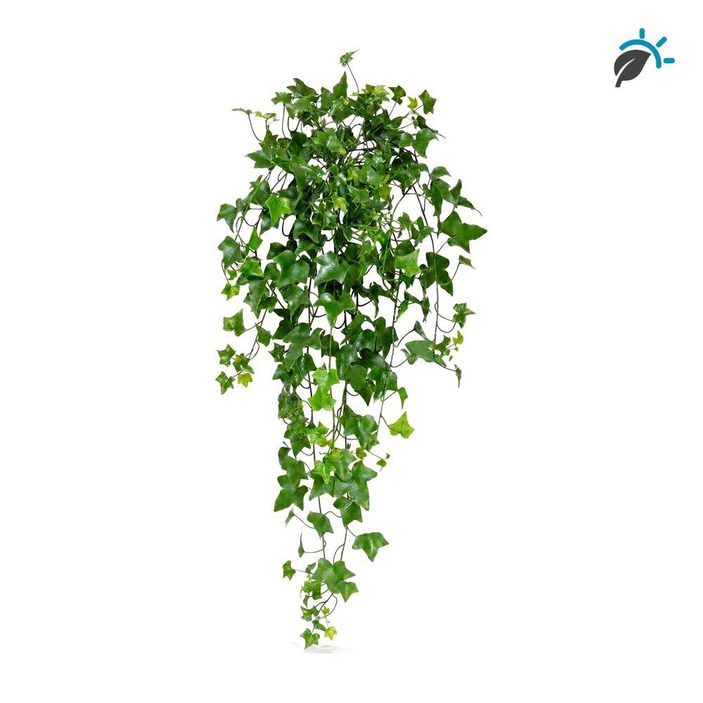 Coolplant Hedera kunsthangplant 85 cm – UV-bestendig