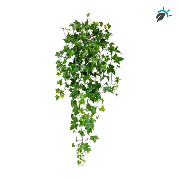 Coolplant Hedera kunsthangplant 85 cm – UV-bestendig