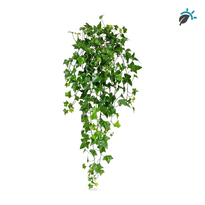 Coolplant Hedera kunsthangplant 85 cm – UV-resistent