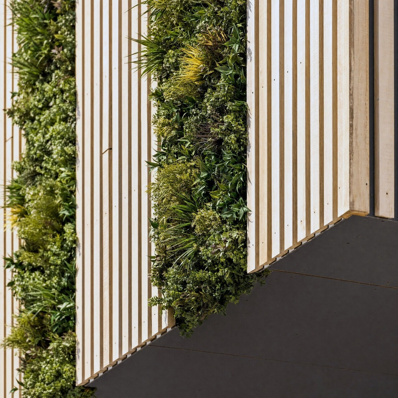 CoolPlantWall® wandpaneel 90 x 90 cm – binnen & buiten