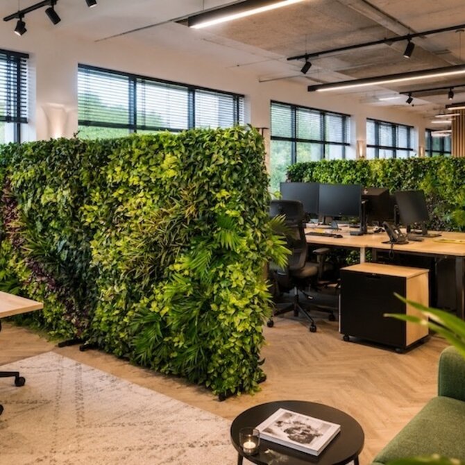 Coolplant Akoestische groene wand op maat – per m²