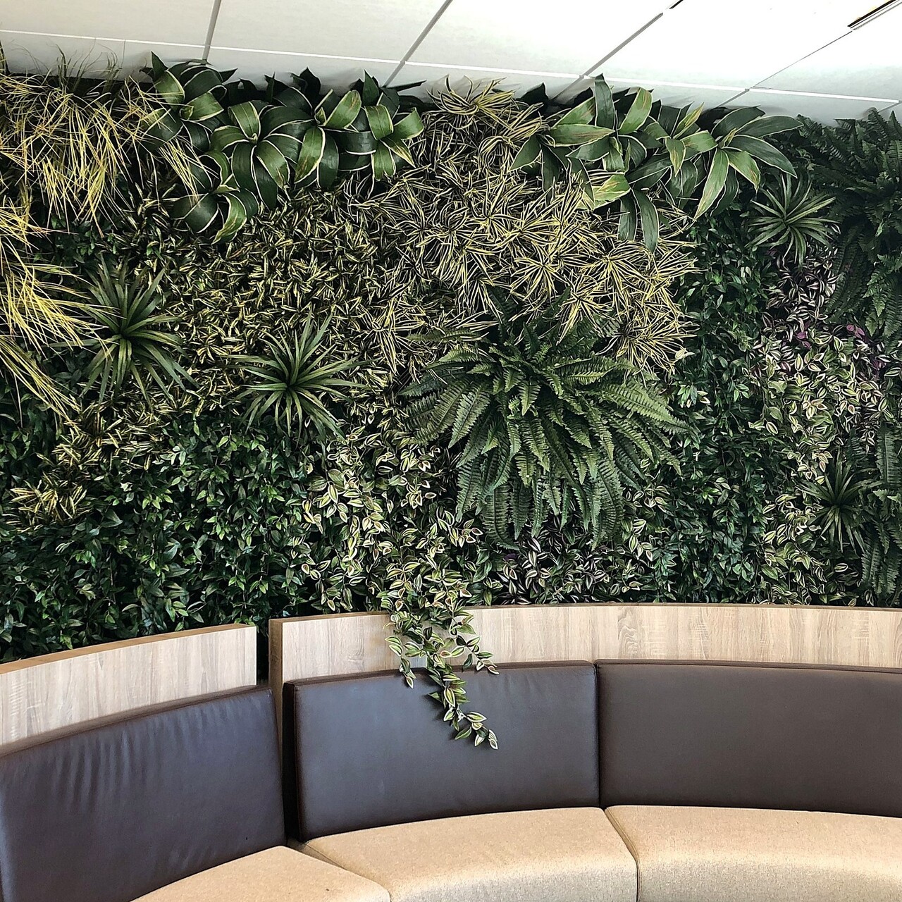 Akoestische groene wand op maat – per m²
