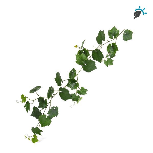Coolplant Druifguirlande kunsthangplant 110 cm – UV-bestendig