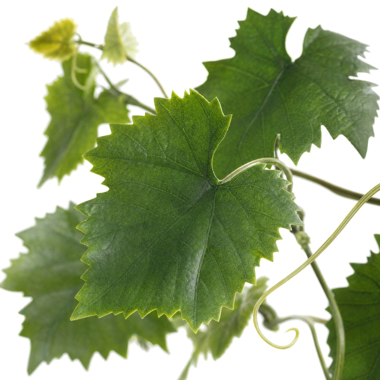 Druifguirlande kunsthangplant 110 cm – UV-bestendig
