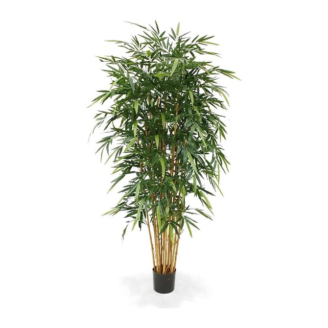 Coolplant Kunst Bamboe deluxe 210 cm