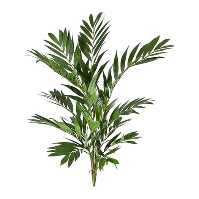 Coolplant Parlour kunstpalm, deluxe 90 cm