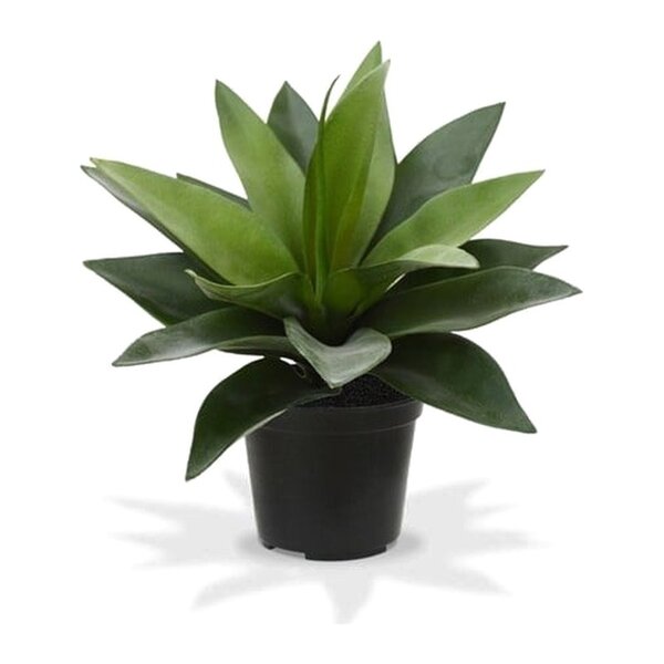 Coolplant Agave kunstplant 25cm in pot