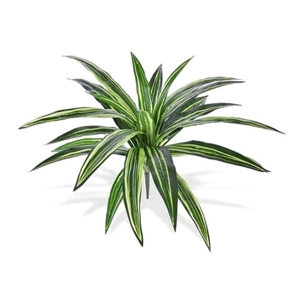 Coolplant Kunst Draceana Massangeana plant 40 cm groen