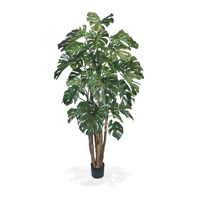 Coolplant Kunst Monstera de luxe 210 cm