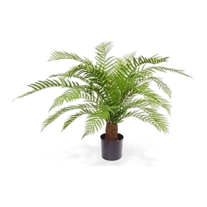 Coolplant Alsophilla Varen kunstplant XXL 80 cm