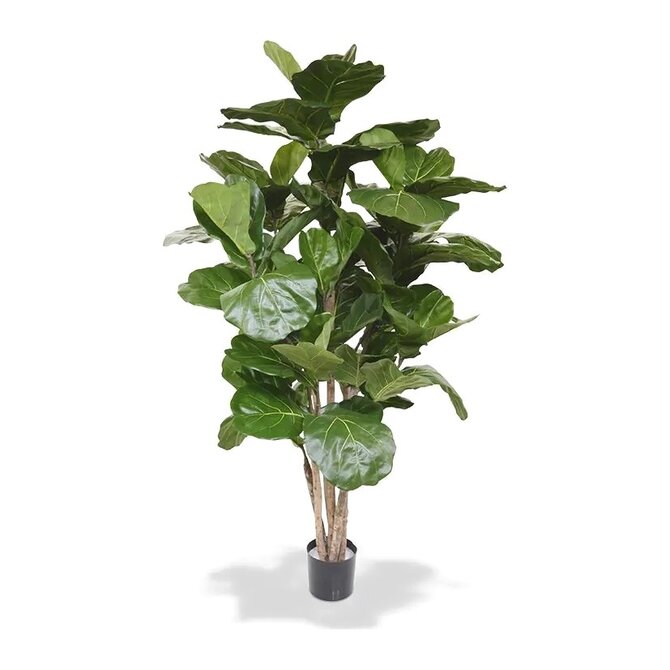 Coolplant Kunst Ficus Lyrata De Luxe 170 cm