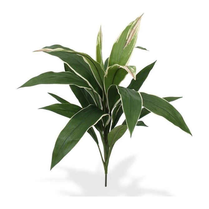 Coolplant Dracaena Kunstboeket 60 cm bont