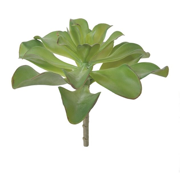 Coolplant Echeveria kunstboeket 20 cm