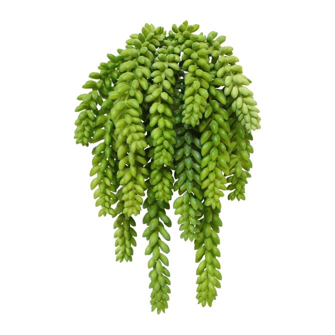 Coolplant Donkey tail kunstboeket 30 cm