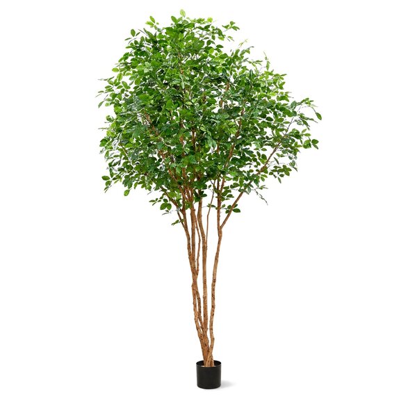 Coolplant Buchen-Kunstbaum Deluxe 350 cm