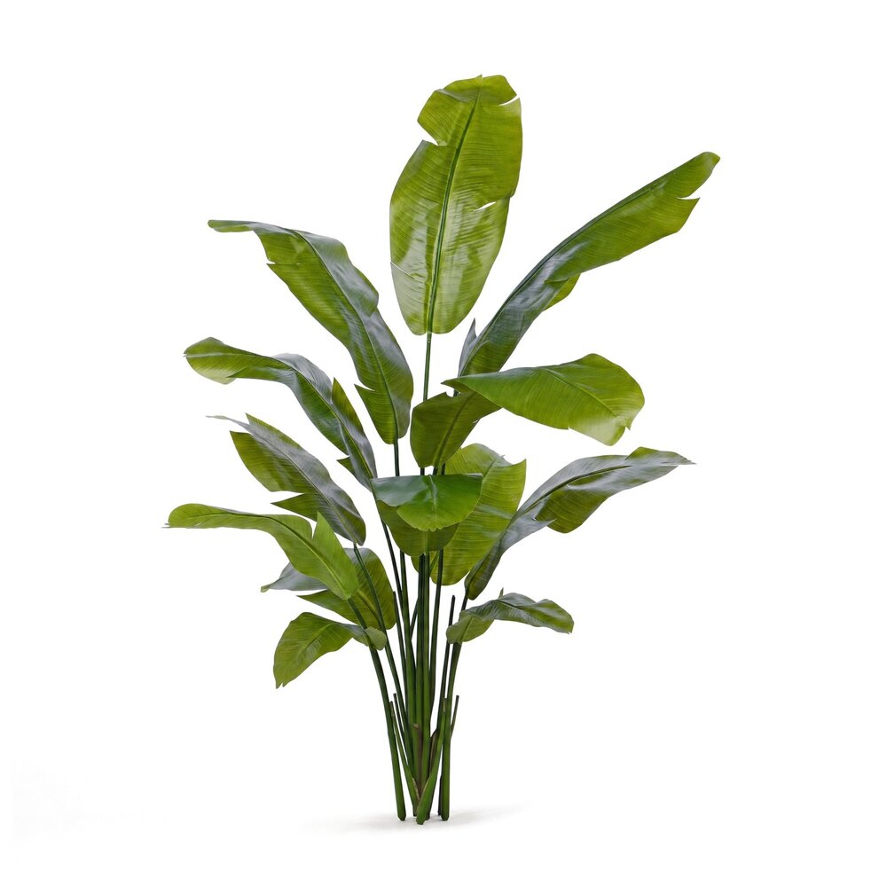 Coolplant Traveller palm kunstplant 160 cm