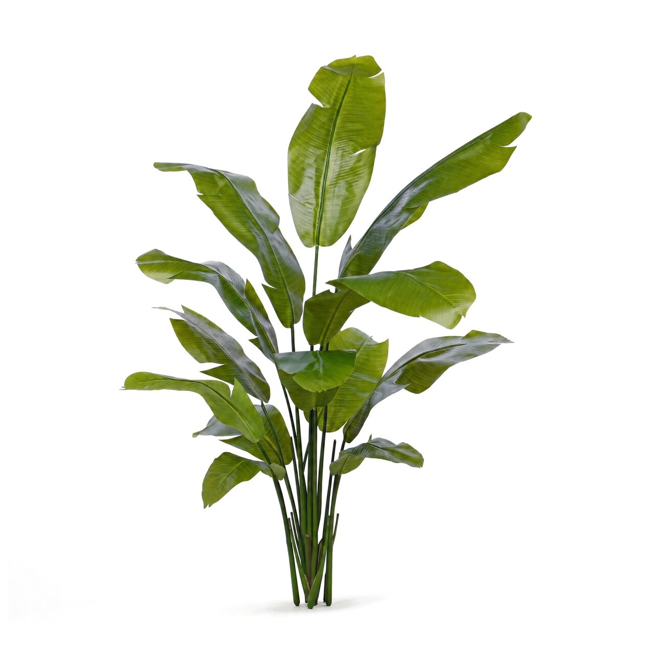 Traveller palm kunstplant 160 cm