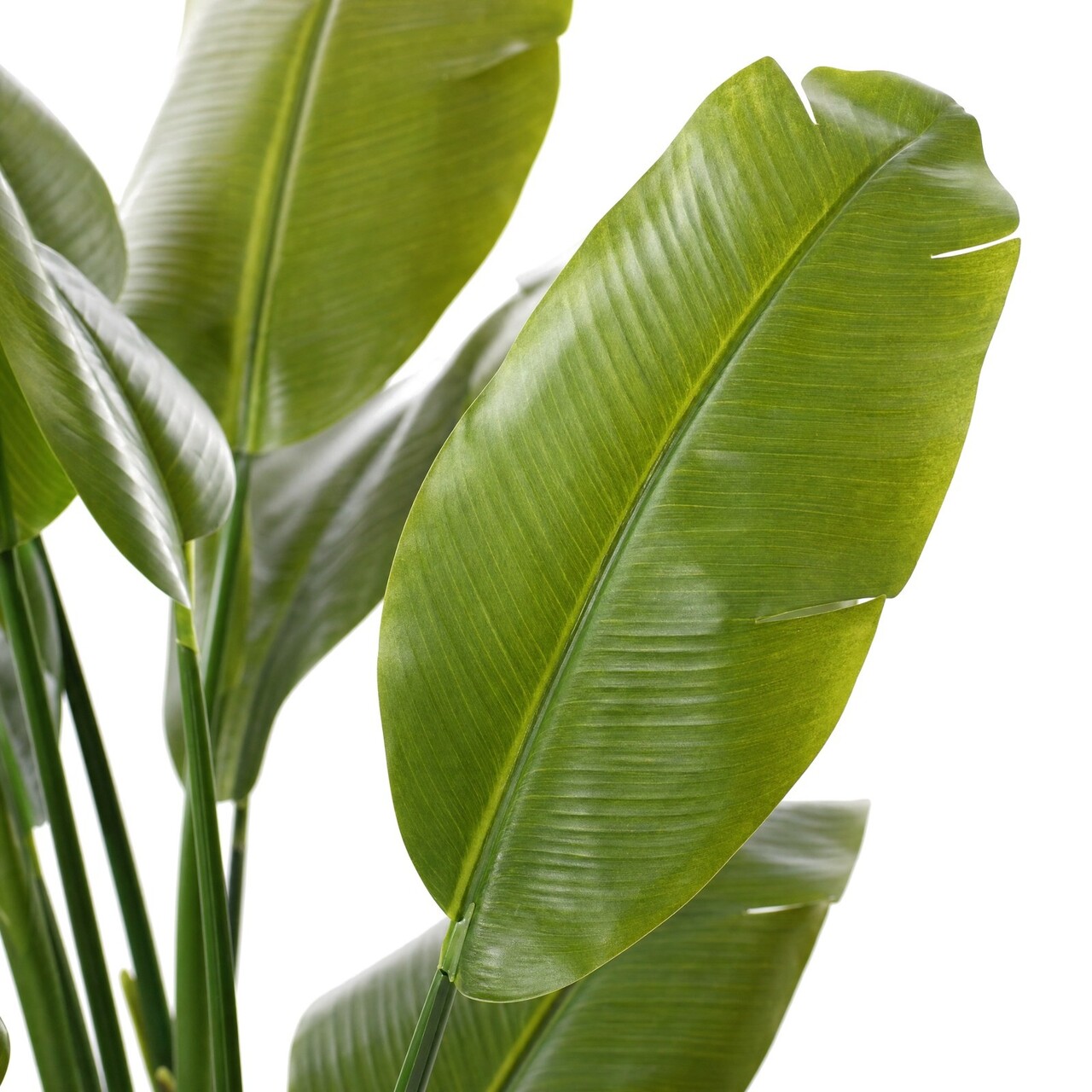 Traveller palm kunstplant 160 cm