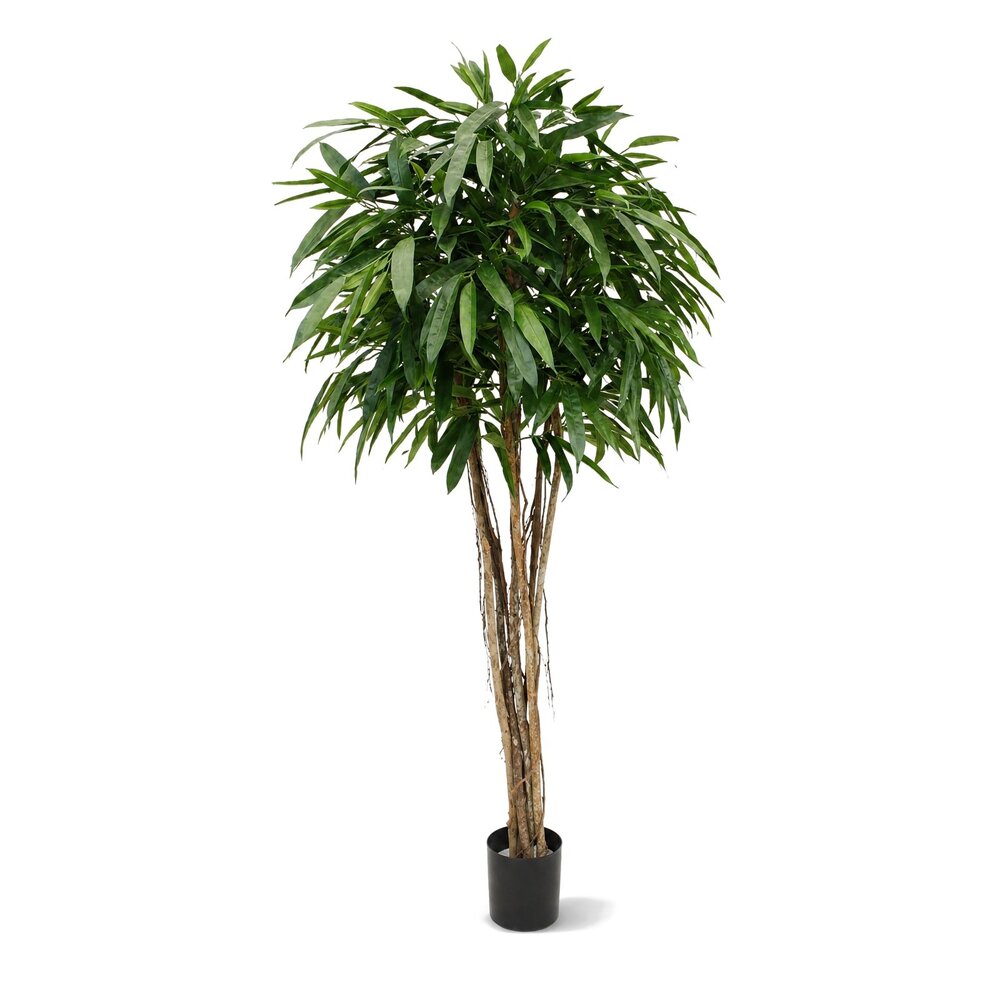 Coolplant Longifolia bol kunstboom deluxe 180 cm