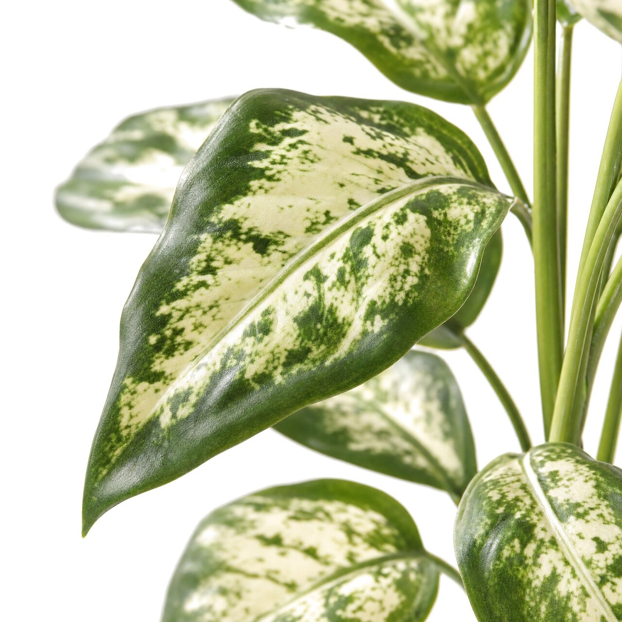 Dieffenbachia kunstboeket deluxe 60 cm