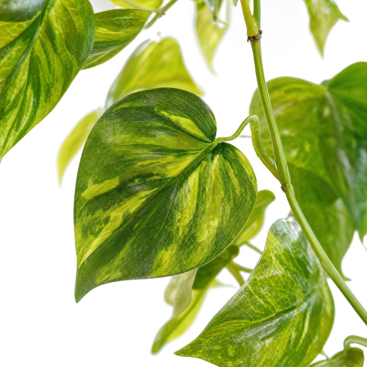 Pothos kunsthangplant bont 90 cm